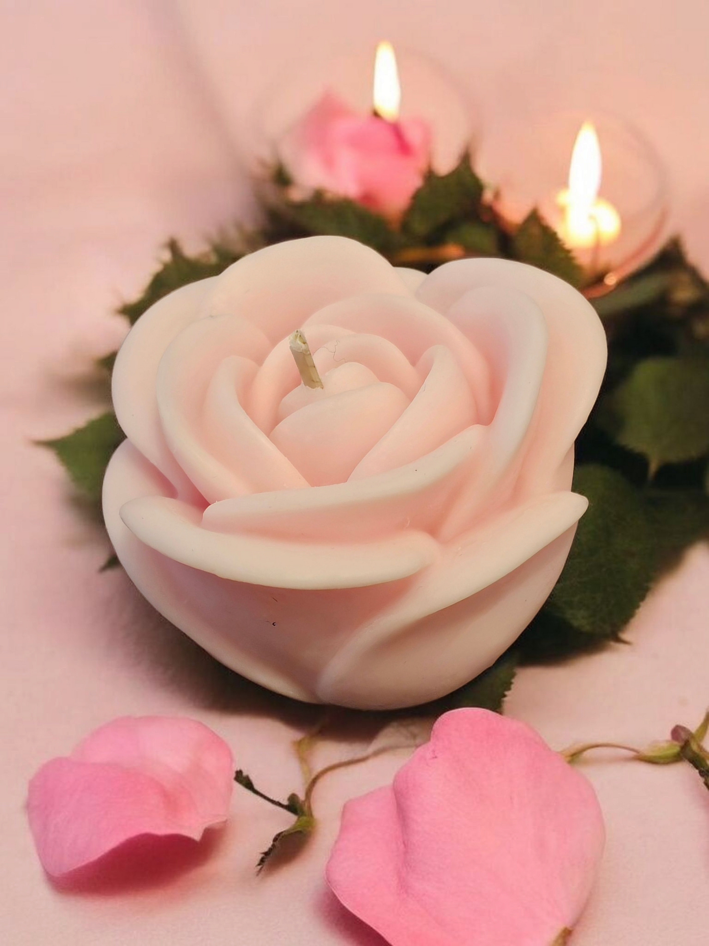 Cherry Bloom Rose